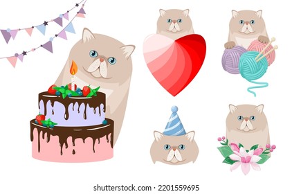 Un conjunto de gatos persas graciosos con un fondo blanco. Diseño de caricaturas.
