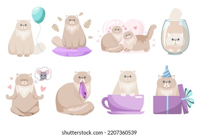 A set of funny Persian cats on a white background. Cartoon design.
