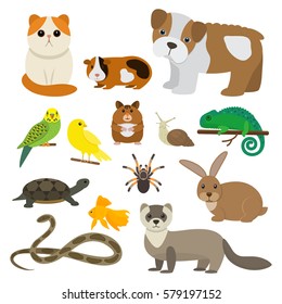 Set of funny pet character in a cartoon style, is insulated on white background. The concept of a pet store.