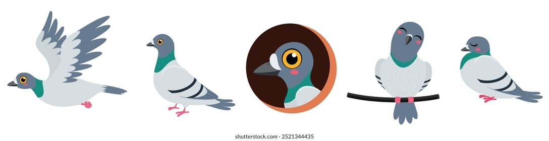 Conjunto de desenhos animados engraçados de pombo, em diferentes emoções e personagens