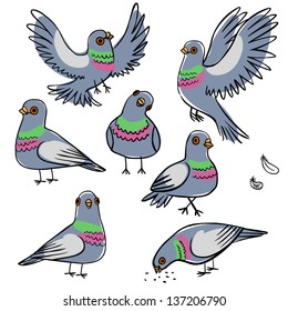 Set of funny pigeons