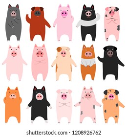 set of funny pigs