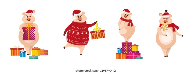Set of funny pigs with gifts and lollipop. Christmas pig cartoon vector illustration. 2019 New Year Chinese symbol.
