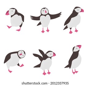 Set of funny puffins in different poses. Collection of cheerful animals