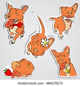 Set of funny red dogs in sketchy style with funny elements