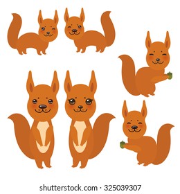 Set of funny red squirrels with fluffy tail with acorn isolated on white background. Vector
