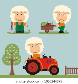 Set of funny sheep farmer is working on farm: with shovel, wheelbarrow with vegetables, in tractor. 