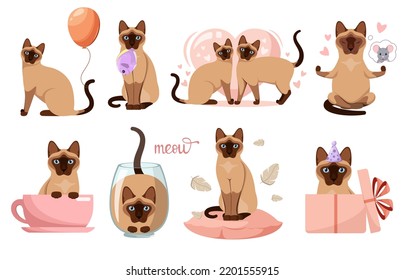 A set of funny Siamese cats on a white background. Cartoon design.
