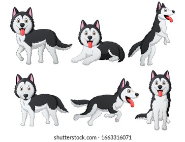 Set of funny siberian husky dog cartoon. Vector illustration