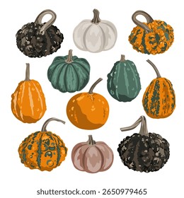 Conjunto de pequenas abóboras decorativas engraçadas isoladas no branco. Acorn abcisados e cortina e verrugosa ilustração vetor