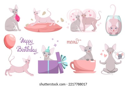 A set of funny sphinx cats on a white background. Cute pets. Cartoon design.
