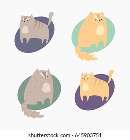 set with funny sweet cat