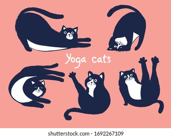 set of funny vector illustrations of cats doing yoga. cute illustration suitable for cards, flyers, print on children`s and adult clothes, mugs,stickers, emoticon