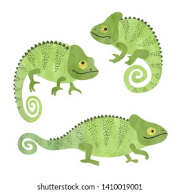 Set of funny watercolor chameleons. Vector lizards.