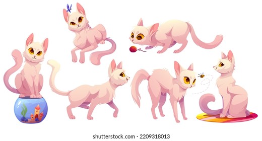 Set of funny white cats cartoon characters, adorable home pets. Cute kittens playing with clew, catch butterfly or bee, sit on aquarium. Naughty feline animal lifestyle, petcare, Vector illustration