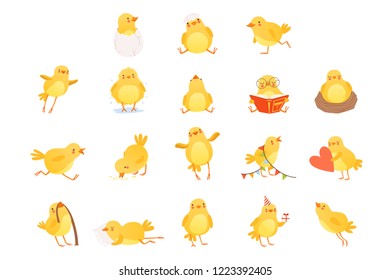 Set of funny yellow chicken in various situations. Cartoon character of little farm bird. Isolated flat vector design for postcard, sticker or children s book