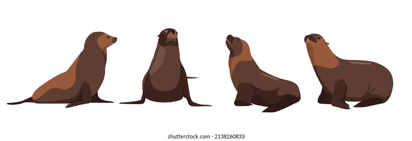 Set of fur seals in different angles and emotions in a cartoon style. Vector illustration of predators Antarctic animals isolated on white background.