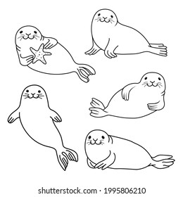 Set of fur seals. Vector hand drawn fur seal black outline isolated on white background. Ocean animal illustration.