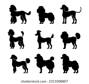 A set of furry poodle silhouette vector standing in different shapes