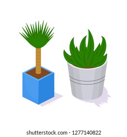 Set of garden 3D shrubs and flower plants in pot from park. Collection of natural plants environment and landscape design. Map elements, with shrubs, grass, earth. Isometric vector, city constructor.