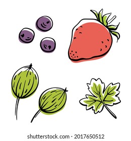 Set of garden berries. Colorful line sketch collection of fruits and berries isolated on white background. Doodle hand drawn fruits. Vector illustration