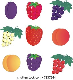 set of garden berries icons (vector illustration)