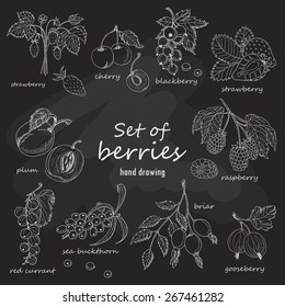 Set of garden berries on dark background. Vector illustration for your design