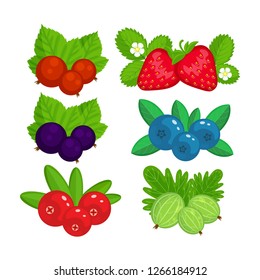 Set of garden berries vector illustration isolated on white background. Strawberry, cranberry, gooseberry, black currant, red currant.