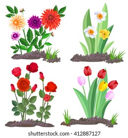 Set of garden flowers growing in the flowerbed. Flowers isolated on white background.