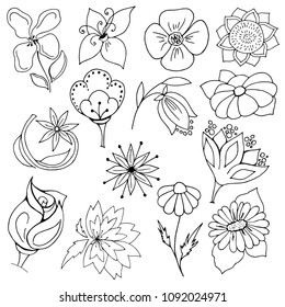 a set of garden flowers, individual design elements, black and white sketches on a white background, hand drawing, vector illustration