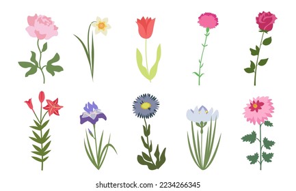 Set of garden flowers. Nature design elements in flat style.