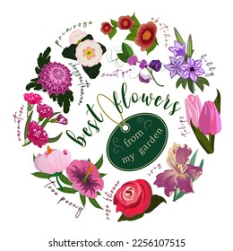 Set of garden flowers. Rose, iris, tree peony, lilly, tulips, sweet pea, primrose, carnation. Vector illustration.