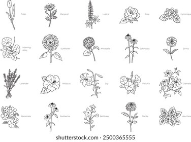 Set Garden flowers spring and summer