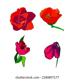 Set of garden flowers. Vector illustration. Botanical design elements. 