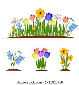 Set of garden and forest flowers, vector illustration on a white background