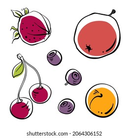 Set of garden fruits and berries. Colorful black line sketch collection isolated on white background. Doodle hand drawn fruits. Vector illustration