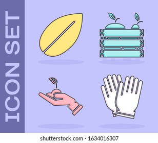 Set Garden gloves, Leaf, Sprout in hand of environmental protection and Wooden box for fruits and vegetables icon. Vector