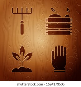 Set Garden gloves, Garden rake, Plant and Wooden box for fruits and vegetables on wooden background. Vector