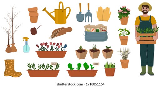 A set of garden items. Agricultural implements. Farm or planting equipment with plants, seeds, watering can, wooden box, seedlings, pots, rubber boots and gloves. Flat cartoon vector illustrations.