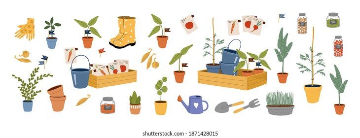 Conjunto de objetos de jardín. Herramientas agrícolas. Equipos de cultivo o plantación con plantas, semillas, latas de riego, cubos, caja de madera, plántulas, macetas, botas de goma y guantes. Ilustración vectorial de dibujos animados planos.