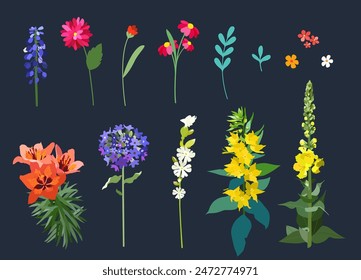 Set of garden and meadow flowers in vector, flat style.