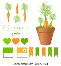 Set of garden pots with fresh carrots and greens.Carrot and green grass in pots,printable files. Vector illustration for garden party decor.Vector printable boxes,half boxes