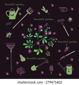 set with garden tools and berry black background