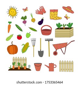 A set of garden tools and vegetables. Flat element design, vector hand drawn illustration for printing, web design, children's design, etc.