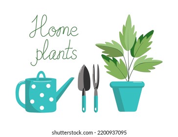 Set of garden tools, watering can, indoor plants. Isolated background. Color vector illustration. Floristics and gardening, hobbies, outdoor activities. Sign Horticulture, agronomy.