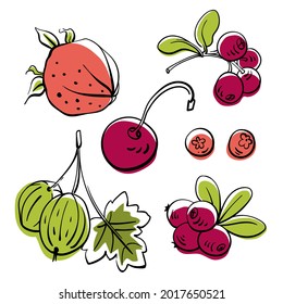 Set of garden and wild berries. Colorful line sketch collection of fruits and berries isolated on white background. Doodle hand drawn fruits. Vector illustration