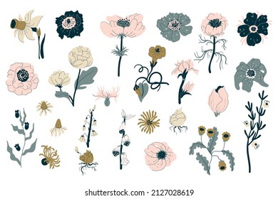 Set of garden and wild flowers and plants, botanical illustration in boho style for decoration of weddings and celebrations