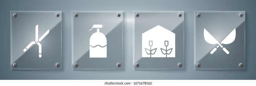 Set Gardening handmade scissors, Home greenhouse and plants, Garden sprayer and Gardening handmade scissors. Square glass panels. Vector
