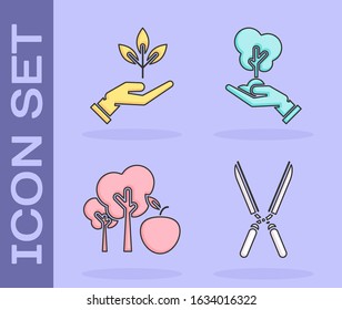 Set Gardening handmade scissors for trimming, Plant in hand of environmental protection, Tree with apple and Tree in hand of environmental protection icon. Vector
