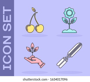 Set Gardening handmade scissors for trimming, Cherry, Plant in hand of environmental protection and Flower icon. Vector